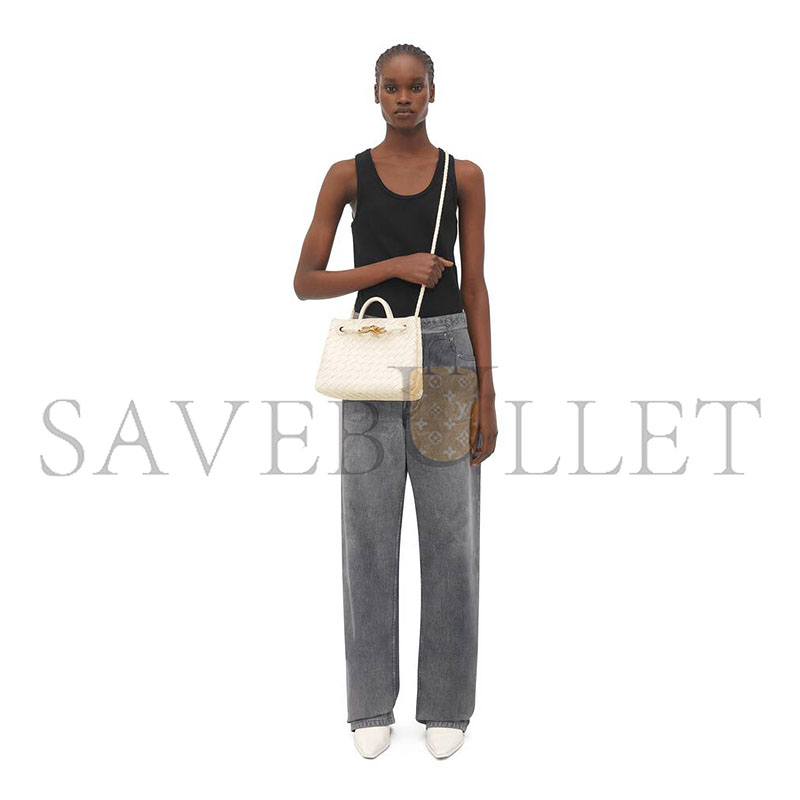 BOTTEGA VENETA SMALL ANDIAMO 766014VCPP19211 (25*20*10cm)
